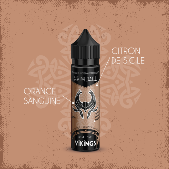 E Liquide VIKINGS Heimdall 50ml Flandres Juice Maker