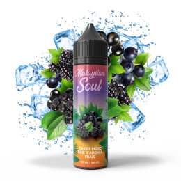 E Liquide MALAYSIAN SOUL Cassis Mûre Baise d'Aronia Frais 50ml