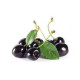 Arôme SOLANA Cerise noire 10ml Solana