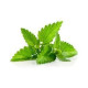 Arôme SOLANA Menthe Verte 10ml Solana