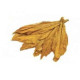 Arôme SOLANA Classic Blond 10ml Solana